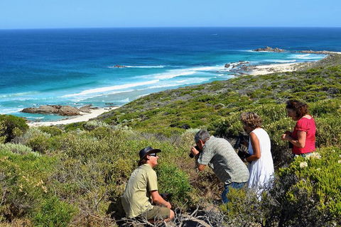 Margaret River Coastal And Wildlife Eco Trip From Busselton Or Dunsborough - Yarra Valley Accommodation 2