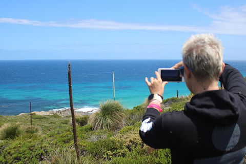 Margaret River Coastal And Wildlife Eco Trip From Busselton Or Dunsborough - Yarra Valley Accommodation 3