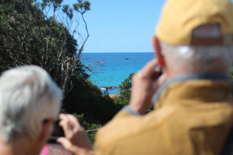 Margaret River Coastal And Wildlife Eco Trip From Busselton Or Dunsborough - Yarra Valley Accommodation 5
